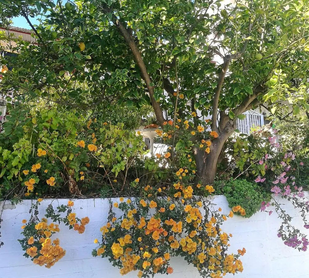 Katy'S House Center Apartment Neos Marmaras Greece